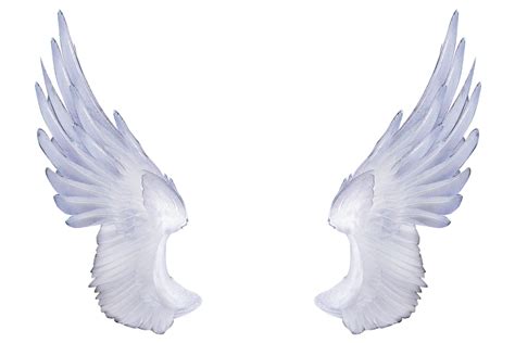 Angel Wings Png - Cliparts.co