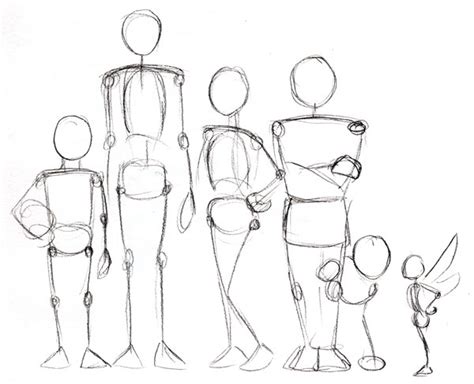 Human Anatomy Fundamentals: Advanced Body Proportions