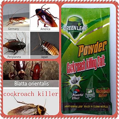 Generic Pest Control German Russian American Australian cockroach ...