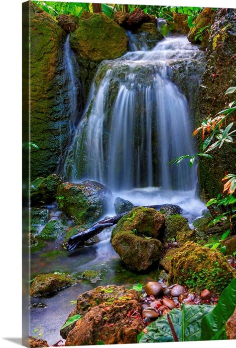 Waterfall in Tropical Rainforest of Fairchild Tropical Gardens. Wall ...