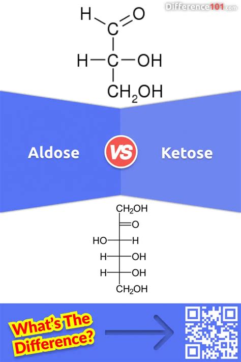 Aldose vs. Ketose: 7 Key Differences, Pros & Cons, Examples | Difference 101