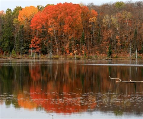 Flickriver: Most interesting photos from Sprucedale, Ontario, Canada