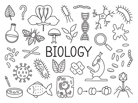 Biology doodle set. Education and study concept. School equipment ...