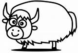 Adorable Yak Coloring Page  Free Printable Pages For Kids sketch template