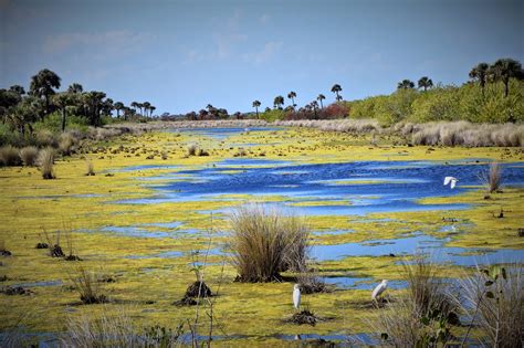 HappiLeeRVing: Merritt Island National Wildlife Refuge and Canaveral ...