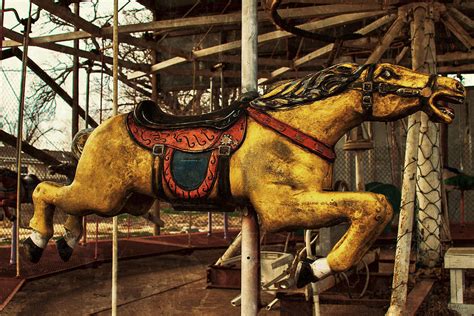 Vintage Carousel Horses 013 Photograph by Tony Grider - Pixels