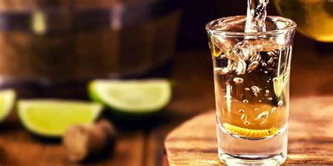 Mezcal vs Tequila: Explained