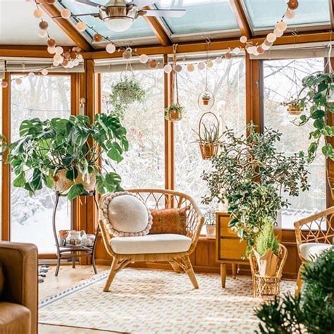 Sunroom Plants