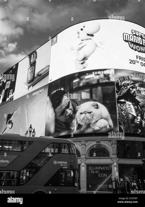 Black and White, Cat from Advertisement Watching London Bus, Piccadilly Circus, London, England ...