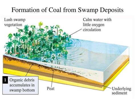 PPT - SEDIMENTARY GEOLOGY OVERVIEW PowerPoint Presentation - ID:210795