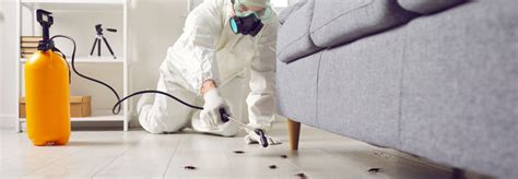 Safe and Effective Roach Control Solutions Boynton Beach