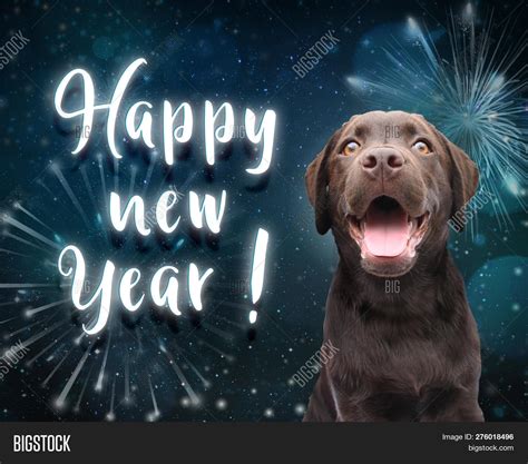 Dog Wishes You Happy Image & Photo (Free Trial) | Bigstock