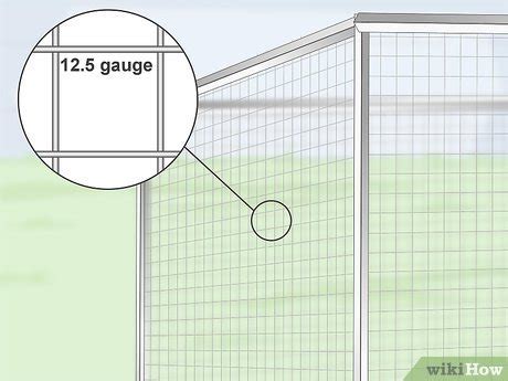 4 Ways to Set Up a Pionus Parrot Habitat - wikiHow