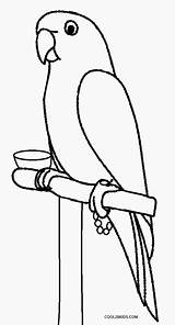 Parrot Coloring Pages Macaw Outline Drawing Kids Printable Cool2bkids  sketch template