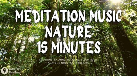 Meditation Music Nature 15 Minutes