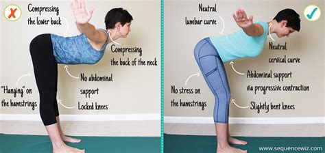 11 Absolute Best Yoga Poses For Beginners! - www.thelifestylecure.com