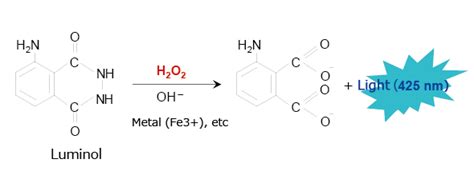 About Chemiluminescence Detection : SHIMADZU (Shimadzu Corporation)