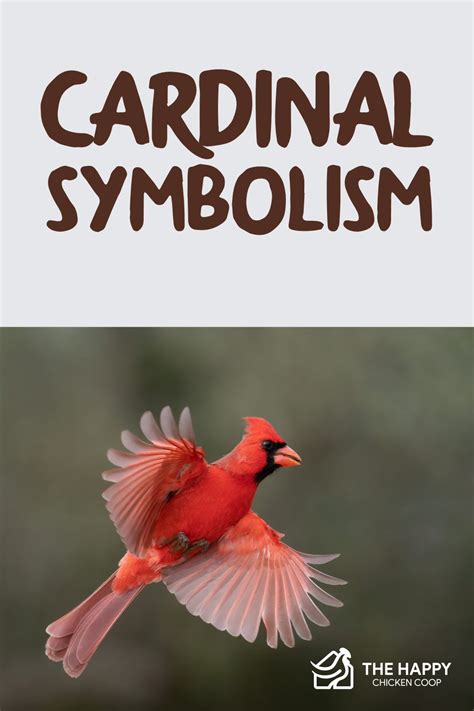 Cardinal Symbolism