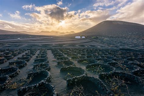 Lanzarote vineyards | Lanzarote, Canary islands, Vineyard