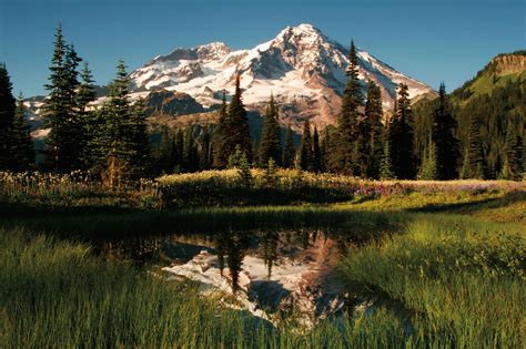 10 Best Hikes at Mount Rainier National Park | Seattle Met