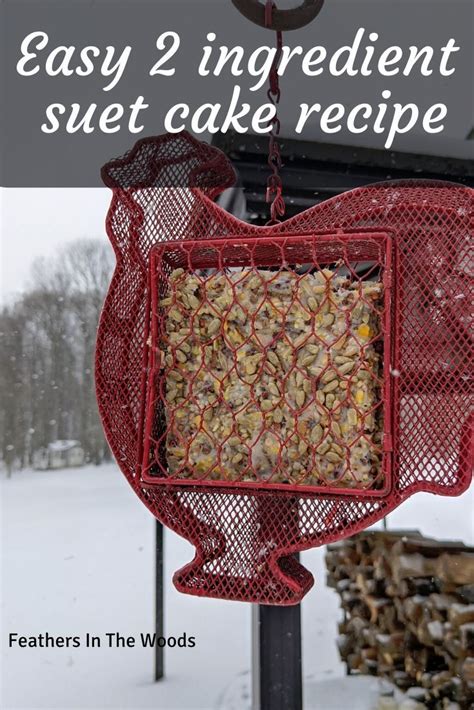 Create Your Own Homemade Suet Recipe for Birds