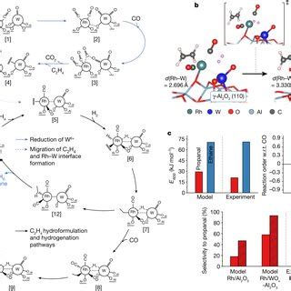 Hydroformylation mechanism and kinetic simulations a, Mechanism of W⁶⁺... | Download Scientific ...