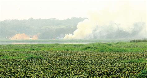 bellandur: Pollution board orders closure of 114 factories near Bellandur lake