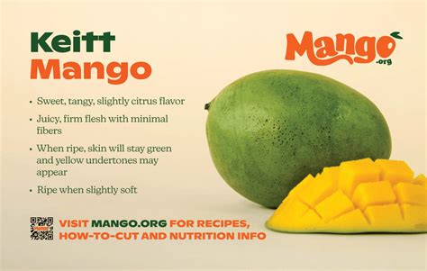 Keitt Mangos - Mango Variety | National Mango Board