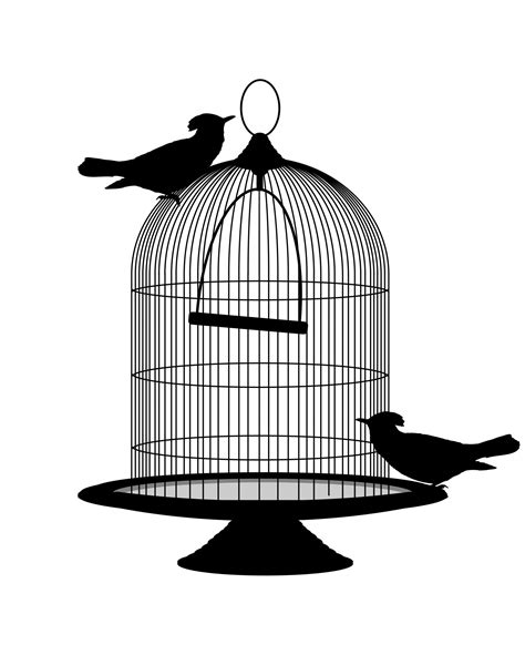 Birds Vintage Birdcage Clipart Free Stock Photo - Public Domain Pictures