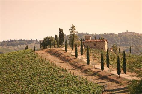 Chianti Culinary Tour from Florence with Dinner, Wine Pairings 2024