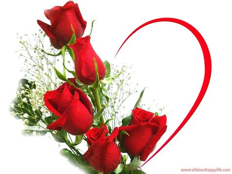 Red Rose Wallpapers For Love - Wallpaper Cave