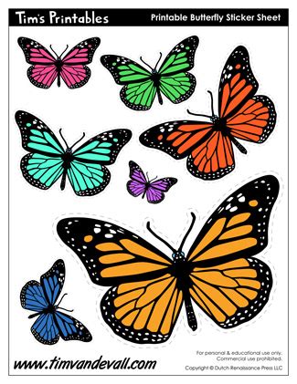 Printable Butterfly Templates and Butterfly Shapes