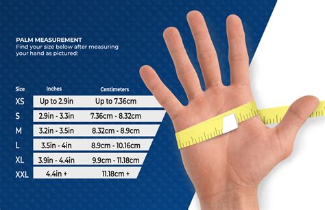 Glove Size Chart - AMMEX - Your Glove Partner