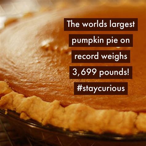 The worlds largest pumpkin pie on record weighs 3,699 pounds ...