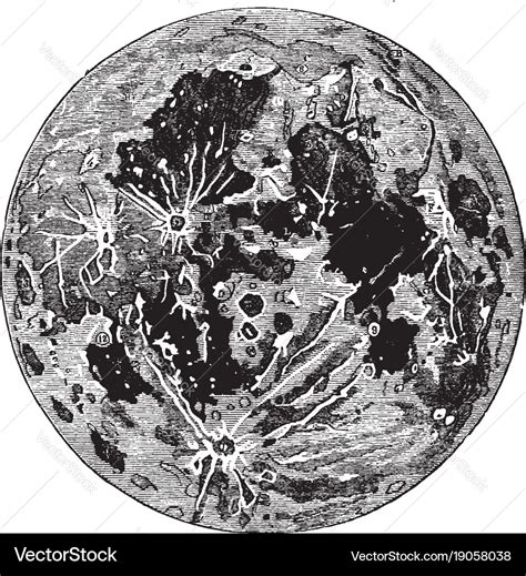 Moon vintage Royalty Free Vector Image - VectorStock