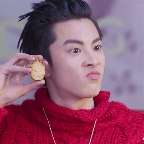 imitating the cookies that Shancai made for him cute #dylanwang #王鹤棣 #wang #wangdylan #dylan #me ...