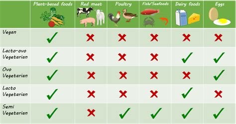 Best Tips on How to Become a Vegetarian – Boy Versus World