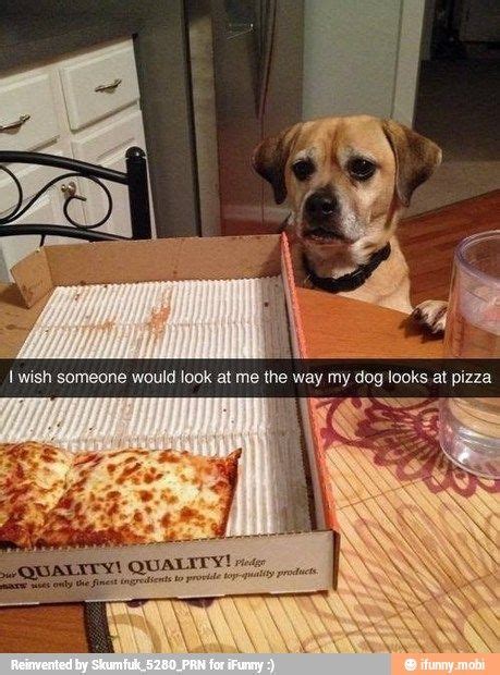 dog pizza meme | Ha | Pinterest | We, Pizza and Pizza meme