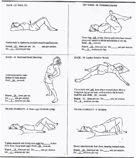 21 best Low Back Pain Exercises Patient Handout images on Pinterest | Exercises, Work outs and ...