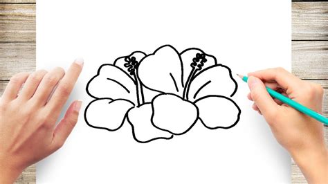 How to Draw a Hawaiian Flower Step by Step for Kids - YouTube