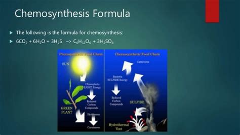 Chemosynthesis Notes