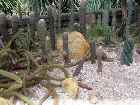 The Garden Of My Dreams - Medellin's Botanical Garden