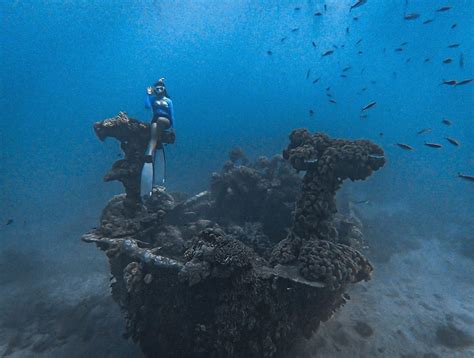 Top 6 fundamental wreck diving tips | Discovery Fleet Philippines