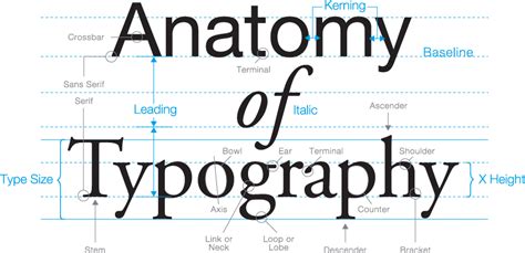 Typography: The Anatomy of a Letter - Osman Assem | Digital Art Monster