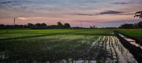 Indo-Gangetic-Brahmaputra Plain - Northern Plains of India