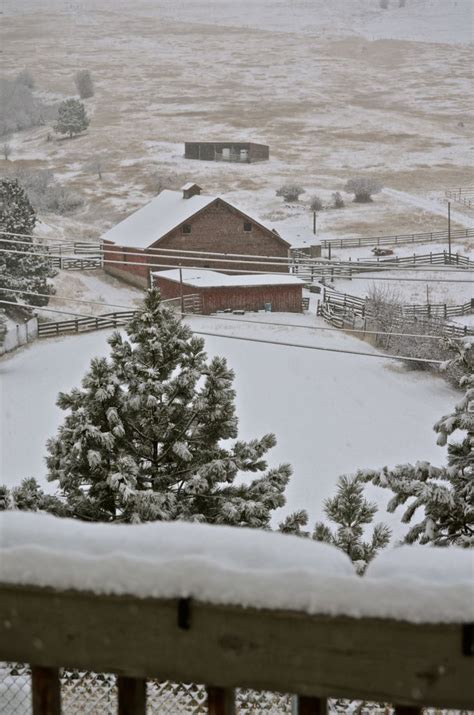 Country winter in Montana - View from my balcony (= | Montana winter ...