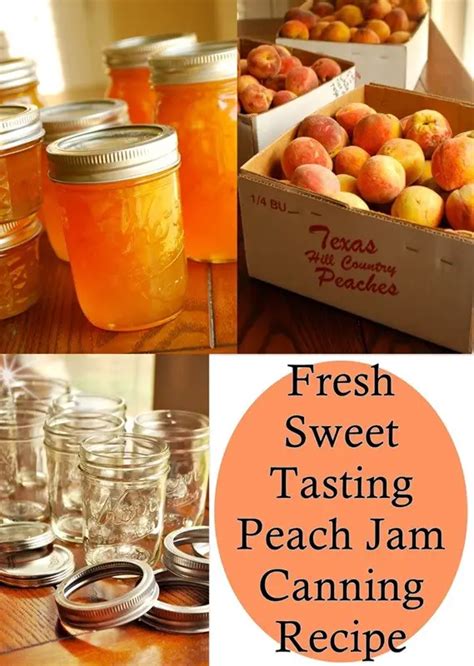 Fresh Sweet Tasting Peach Jam Canning Recipe