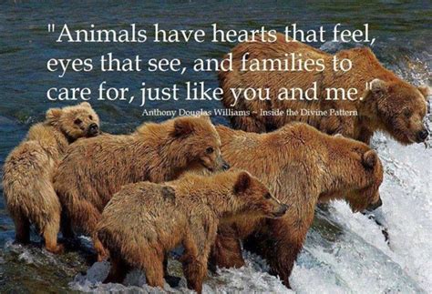 Quotes about Animal care (43 quotes)