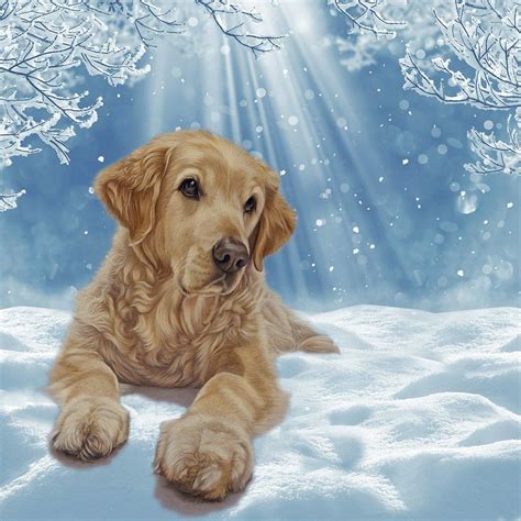 20 x Golden Retriever Christmas Cards, Perfect Holiday Greetings Card for Goldie Lovers - All ...