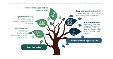 Regenerative Agriculture - Officers Pulse